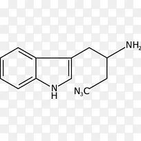 �����ѧ�������ѷ���������Կ�ѧ-������