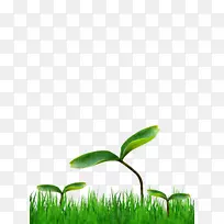 ��-������