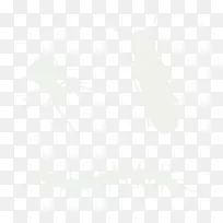 昆虫蝴蝶传粉器-昆虫-空若网 昆虫蝴蝶传粉器-昆虫-空若网