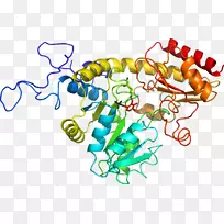 线点生物剪贴画线-空若网 线点生物剪贴画线-空若网