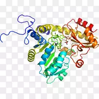 线点生物剪贴画线-空若网 线点生物剪贴画线-空若网