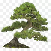 ��-������