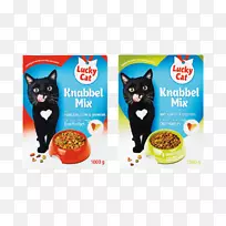 猫供应阿尔迪阿兹阿尔克马尔里德勒-猫-空若网 猫供应阿尔迪阿兹阿尔克马尔里德勒-猫-空若网