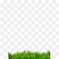 草-空若网 草-空若网