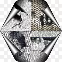 白色图案设计-空若网 白色图案设计-空若网