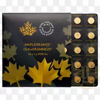 ���ô���Ҷ���-������