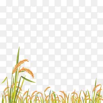 ��ͨ��-������