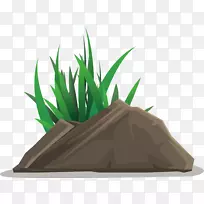 石草-空若网 石草-空若网