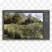 ����-������