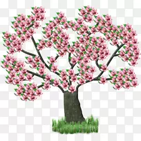 中心博客Shabbat-arbre-空若网 中心博客Shabbat-arbre-空若网