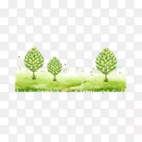 Adobe�廭ʦ����-���ʲ�ľ-������