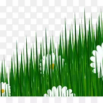 ��Ӱ�滭���˰��ͼ.���̲�-������