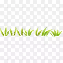 ��ɫ��ƺ��ͼ-���е��̲�-������