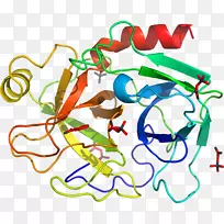 线点生物剪贴画线-空若网 线点生物剪贴画线-空若网