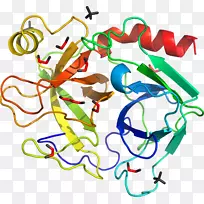 线条艺术点嘴夹艺术线-空若网 线条艺术点嘴夹艺术线-空若网