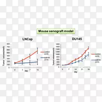 ������������칹��øǰ���ٰ��������-������