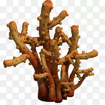 ֲ��ƺ�����-�߲ݻƺ�-������