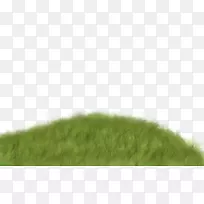 ��ƺ�̲�����-�����̲�-������