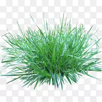 ��-������