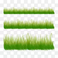 三种草-空若网 三种草-空若网