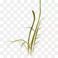 贺华腾藤-装饰元素绿草-空若网 贺华腾藤-装饰元素绿草-空若网