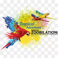 印第安纳波利斯动物园金刚鹦鹉动物园在印第安纳波利斯的卢卡斯石油赛道-空若网 印第安纳波利斯动物园金刚鹦鹉动物园在印第安纳波利斯的卢卡斯石油赛道-空若网