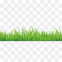 ��ɫ�ֻ�С�ݱ�Ե����-������