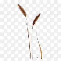 ţͷ¼ÐÒÕÊõ-Á½¸ö¿Û¼Ð¹·µÄβ°Í²ÝÃâ·Ñ-¿ÕÈôÍø ţͷ¼ÐÒÕÊõ-Á½¸ö¿Û¼Ð¹·µÄβ°Í²ÝÃâ·Ñ-¿ÕÈôÍø