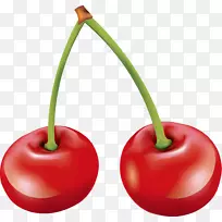 ӣ��ʳƷ-�ֻ��ɫӣ��ˮ��-������