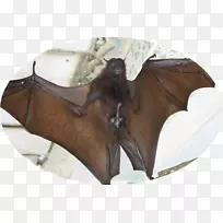 �����-������