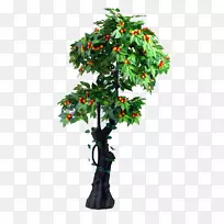 樱花树枝果樱桃树生长迅速。-空若网 樱花树枝果樱桃树生长迅速。-空若网