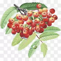 ÌÒ»¨É½ÀæÇ£ÒýÊ÷Ö¦Ìõ»¨µÆ¹ûʵӣÌÒ¹ûʵ-¿ÕÈôÍø ÌÒ»¨É½ÀæÇ£ÒýÊ÷Ö¦Ìõ»¨µÆ¹ûʵӣÌÒ¹ûʵ-¿ÕÈôÍø