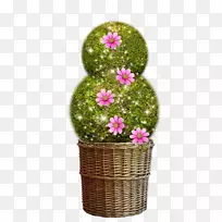 Ê÷¼ÐÒÕÊõ-Ê÷Çò-¿ÕÈôÍø Ê÷¼ÐÒÕÊõ-Ê÷Çò-¿ÕÈôÍø