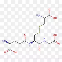 ֱ�ߵ����-������