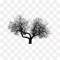 树枝-凹陷分叉树-空若网 树枝-凹陷分叉树-空若网