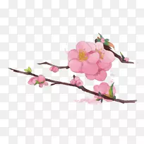 �ﺣ����֦-������