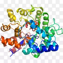艺术身体珠宝有机体剪贴艺术珠宝首饰-空若网 艺术身体珠宝有机体剪贴艺术珠宝首饰-空若网