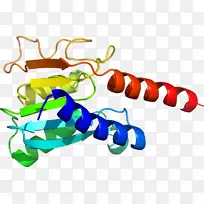 ����Ь�߶������������-������