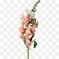 �廨����-�������ʻ�����-������