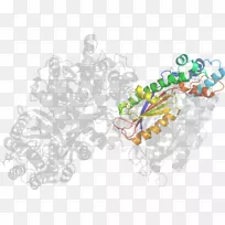 车身首饰.设计-空若网 车身首饰.设计-空若网