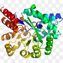 人体珠宝有机体剪贴画.珠宝-空若网 人体珠宝有机体剪贴画.珠宝-空若网