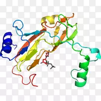 人体行为有机体线点剪贴画线-空若网 人体行为有机体线点剪贴画线-空若网