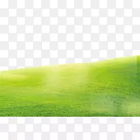 �̲ݱ���-������