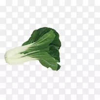 ɳ��-������