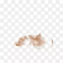 犬科狗,毛皮,鼻子,-狗-空若网 犬科狗,毛皮,鼻子,-狗-空若网