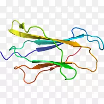 直线点植物茎夹艺术线-空若网 直线点植物茎夹艺术线-空若网