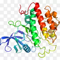 生物线动物剪贴画线-空若网 生物线动物剪贴画线-空若网