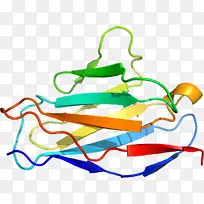 �ߵ������-��-������