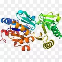 生物线动物剪贴画线-空若网 生物线动物剪贴画线-空若网