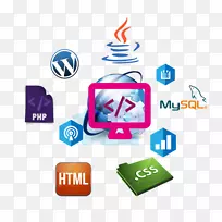 电脑软件标志-税务电脑系统有限公司-空若网 电脑软件标志-税务电脑系统有限公司-空若网